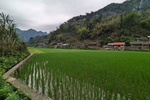 ハザンループ 4D3N ママのホームステイ