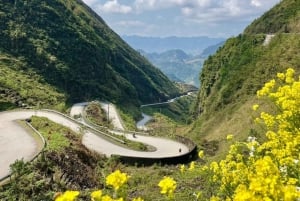 Ha Giang Loop 4D3N Tour del Gelsomino