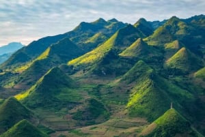 Ha Giang Loop: SUV/JEEP - FLEXIBLE 4 DAYS Tour with Driver