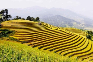 Jipe privado em Ha Giang: Aldeia Khuoi My e Cascata Esmeralda