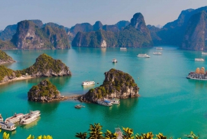 Ha Long 1 jour en petit groupe et en kayak