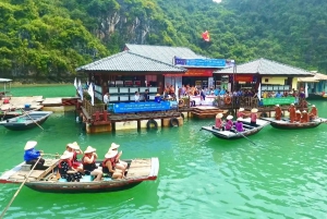 Ha Long 1 Tag Kleingruppe & Kajak