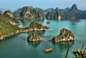 Ha Long 1 jour en petit groupe et en kayak