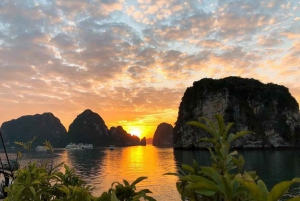 Hanoi: 2-dagers cruise i Bai Tu Long-bukten og besøk i en flytende landsby