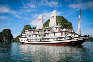 Hanoi: Bai Tu Long Bay 2-daagse cruise & bezoek aan een drijvend dorp