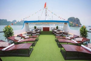 Depuis Ninh Binh : Excursion d'une journée dans la baie d'Ha Long avec arrivée à Hanoi