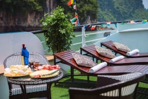 Depuis Ninh Binh : Excursion d'une journée dans la baie d'Ha Long avec arrivée à Hanoi