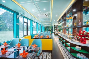 Ninh Binh: Luxury Day Cruise to Stunning Ha Long Bay + Lunch