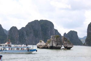 Ha Long Bay: 4-timmars kryssning med grottor, kajakpaddling och lunch
