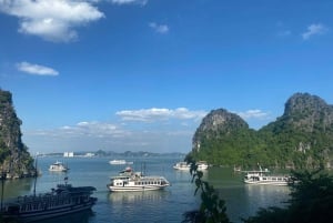 Ha Long Bay: 4-timmars kryssning med grottor, kajakpaddling och lunch