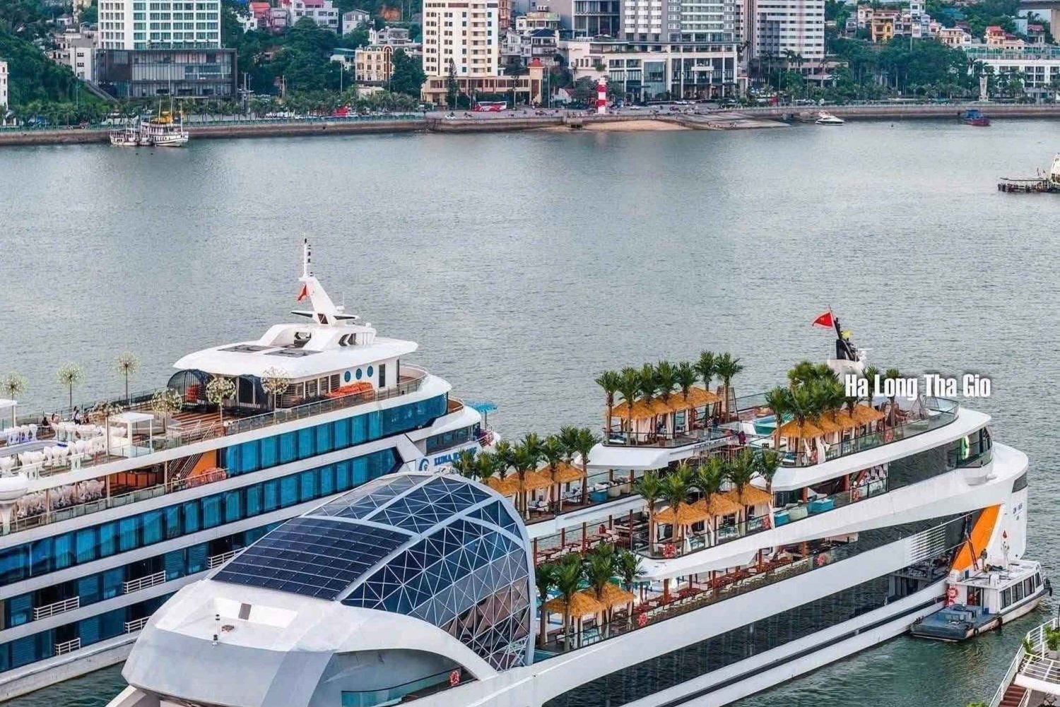 Ha Long Bay: 5-star cruise including cave and island tours