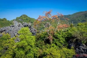 Hanoi: Ha Long Bay & Cat Ba -saari 3 päivän 4 tähden risteilyllä