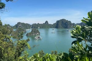 Ha long Bay day trip with Deluxe cruise