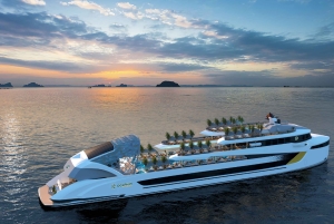 Ha Long Bay: Dolphin Cruise, day trip with Party & Kayaking