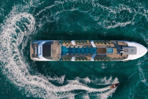 Ha Long Bay: Dolphin Cruise, day trip with Party & Kayaking