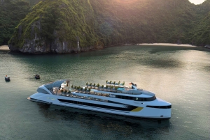 Ha Long Bay: Dolphin Cruise, day trip with Party & Kayaking