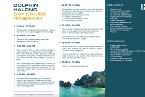 Ha Long Bay: Dolphin Cruise, day trip with Party & Kayaking