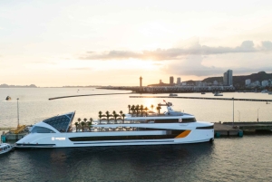 Ha Long Bay: Dolphin Cruise, day trip with Party & Kayaking