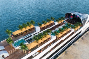 Ha Long Bay: Dolphin Cruise, day trip with Party & Kayaking