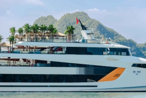 Ha Long Bay: Dolphin Cruise, day trip with Party & Kayaking