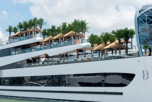 Ha Long Bay: Dolphin Cruise, day trip with Party & Kayaking