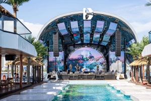 Ha Long Bay: Dolphin Cruise, day trip with Party & Kayaking