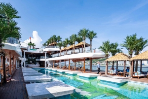 Ha Long Bay: Dolphin Cruise, day trip with Party & Kayaking