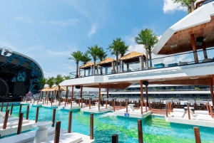 Ha Long Bay: Dolphin Cruise, day trip with Party & Kayaking