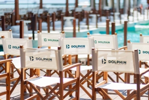 Ha Long Bay: Dolphin Cruise, day trip with Party & Kayaking