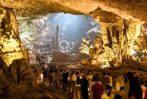 Ha Long Bay: Dolphin Cruise, day trip with Party & Kayaking