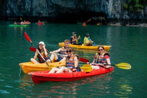 Ha Long Bay: Dolphin Cruise, day trip with Party & Kayaking
