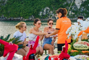 Ha Long Bay Luxury Day Cruise with Small group Buffet Lunch
