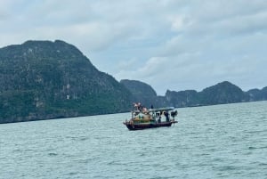 Ha Long Bay: privat båttur med guide