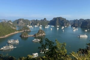 Ha Long: passeio privado pela Gruta Ngoc Long com espetáculo Pearl Dragon
