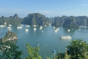 Ha Long: passeio privado pela Gruta Ngoc Long com espetáculo Pearl Dragon
