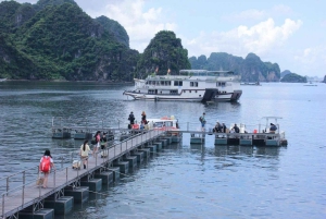 Ha Long to Ngoc Vung: 2-Day, 1-Night Island Escape Trip