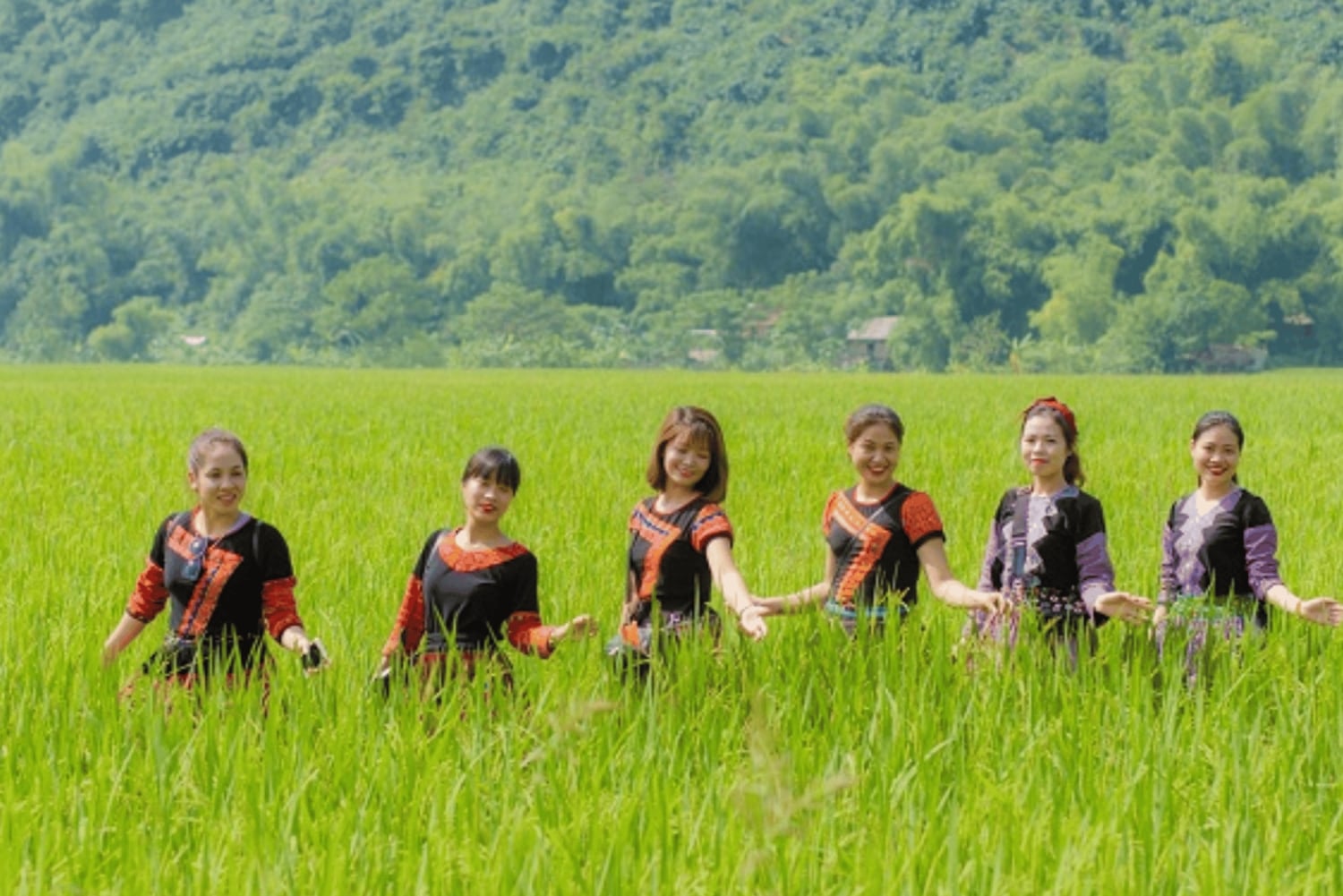 Ha Noi - Mai Chau - Pu Luong 2 dagen 1 nacht trektocht