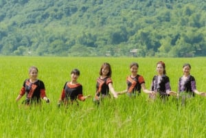 ハノイ-マイチャウ-プルオン1泊2日トレッキングツアー