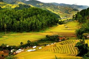 ハノイ-マイチャウ-プルオン1泊2日トレッキングツアー