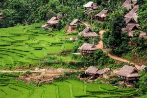 Ha Noi - Mai Chau - Pu Luong 2 dagen 1 nacht trektocht