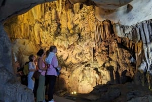 Half Day Hiking to Cat Ba National Park with a Guide