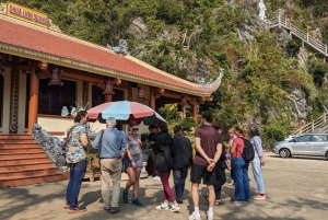 Half Day Hiking to Cat Ba National Park with a Guide