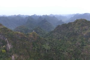 Half Day Hiking to Cat Ba National Park with a Guide