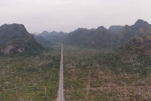 Half Day Hiking to Cat Ba National Park with a Guide