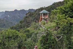 Half Day Hiking to Cat Ba National Park with a Guide