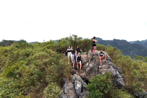Half Day Hiking to Cat Ba National Park with a Guide