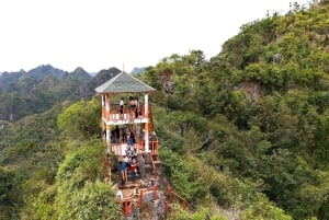 Half Day Hiking to Cat Ba National Park with a Guide