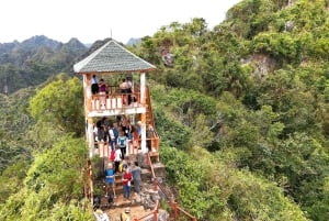 Half Day Hiking to Cat Ba National Park with a Guide