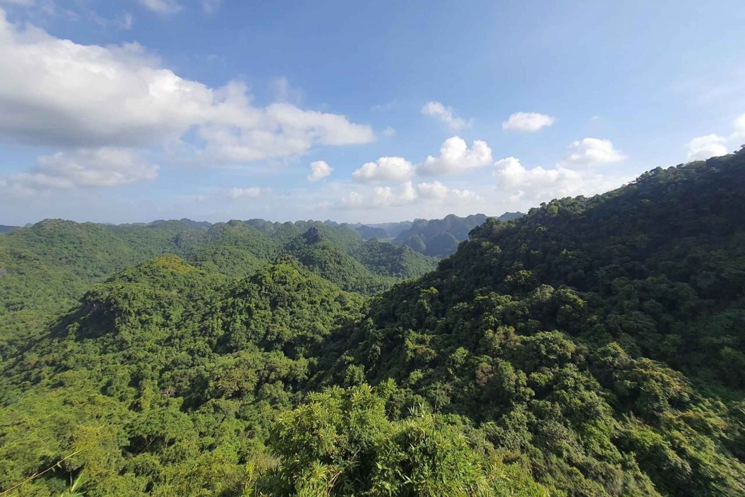 Medio Día de Senderismo al Parque Nacional de Cat Ba con un Guía