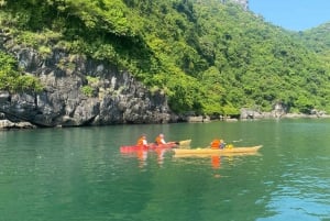 Halve dag Lan Ha Bay: boottocht, kajakken, snorkelen